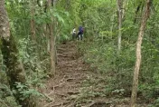 強光巨響後「人硬生生倒下」　她親曝爬山遭雷擊：全身麻木十幾秒沒知覺