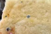 買路易莎吐司「踩到原子彈」！妹子吃到黑點物作嘔　業者回應讓網友怒吼「有點扯」