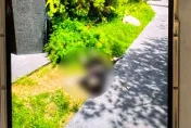 5億高中生/為何同婚？他託夢靈媒：配偶說防黑道覬覦財產