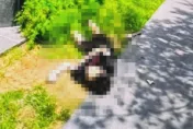 影/他殺？5億高中生「右手有4個針孔」　律師：連同拎袋物品「申請新證據調查」