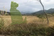 第2屆浪漫台三線藝術季登場！免費接駁車暢遊3大展區、客家美食爽爽吃