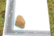 新竹棒球場挖到碎石塊　市府工務處：不符契約規範