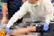 5億高中生/他殺最新鐵證再露出！背上8道傷痕　頸部也有勒痕