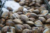 蛤蜊料理煮出一堆沙！「水加鹽上蓋」吐沙更乾淨　網讚：超有效