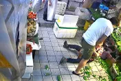 影/菜市場版MMA！大媽大戰買菜叔　使出「猴子偷桃」下場曝