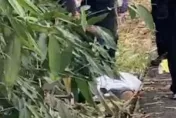 影/斗六市區草叢驚見「紅衣男屍」！無明顯外傷流血　警追車緝兇
