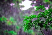 雷雨彈狂轟7天！下周雨區再擴大　「朵拉」今納編第8號颱風
