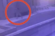 影/三峽社區豬哥救生員偷拍女住戶沖澡！當場被抓包　火速開除送辦