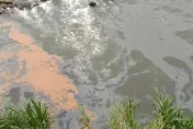 影/關西牛欄河爆惡臭！土色漂浮物、魚群暴斃　上游工廠廢液桶空了