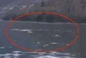 尼斯湖水怪新疆版？喀納斯湖驚見「巨大黑影」高速游動濺大片水花