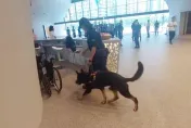 快訊/全館急疏散！台中國家歌劇院也遭炸彈恐嚇　80警力外加偵爆犬地毯式搜索中