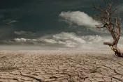 極端氣候發威！聖嬰現象影響降雨量　泰國未來5年恐嚴重乾旱