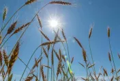 端午連假熱爆！2地區「狂飆36度」　5縣市發布高溫特報