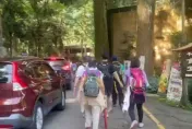 影/端午連假「溪頭人潮擠爆」！車流狂堵500公尺　現場畫面曝光