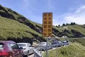 端午交通/遊客湧合歡山「人比羊多」！車潮看不見盡頭…明1活動現場恐塞爆