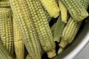 玉米筍下鍋變成「阿凡達筍」！專家解答：是天然色素