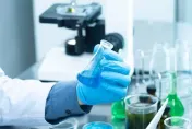 器官移植來源有解？科學家在豬胚胎成功培育出人腎組織