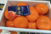 過年拜拜水果怎麼選？橘子、蘋果討吉利　「這些」千萬別上供桌