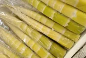 吃竹筍「少1步驟」會中毒！名醫揭誤食恐怖後果