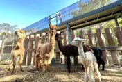 壽山動物園暑假推「12歲以下免費入園」　人氣動物海選7月開跑