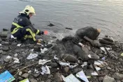 嗨過頭了！國中生期末考完在淡水河畔點火燒課本　路人報警下場曝光了