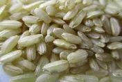 糙米取代白飯營養又健康　糙米飯怎麼煮才吃？營養師傳授3秘訣