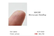 用顯微鏡才看得到！「比鹽粒還小」超迷你LV包　近200萬高價拍出