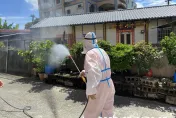 影/雲林出現首例本土登革熱一對夫妻染疫　張麗善籲：落實居家環境巡檢