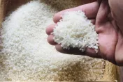 快訊/越南米出包！含禁用農藥「氟派瑞」23.6萬公斤全退運、銷毀