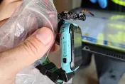 消保官怒了！新北智慧手錶自爆害男童需植皮　業者回應了