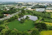 嘉縣大林明華溼地生態園區　復育有成吸引大量獨角仙覓食飛舞