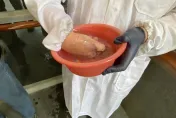 傷勢畫面曝光！台大生「化學實驗」失誤　氫化鋁鋰碰水灼傷手臂