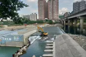 全台第一個！新店碧潭堰魚水道開通　觀賞20多種魚類洄游