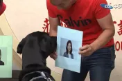 影/狗界「章魚哥」預測這區立委選情秒選她　徐巧芯：正藍軍狗狗