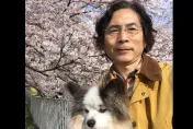 小笠原欣幸觀察對岸媒體風向　「感受大陸不歡迎郭台銘參選」