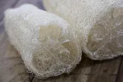 過熟絲瓜還要硬吃？農委會：曬乾後就是天然菜瓜布、絲瓜水是養顏美容的好幫手