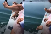 影/冷血男遊船「用螺絲塞麵包」餵海鷗　全網拳頭硬：畜牲！