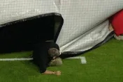 影/MLB紅人主場怪風猛颳！工作人員滑倒遭防水布吞噬「瞬間消失」