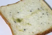 非有異味才是變質！致食物中毒這「2種菌」高溫細菌快速繁殖　小心別疏忽
