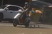 影/颱風天採買連購物推車也拖回家？樹林街頭驚現超狂「聯結車」　警方：要罰