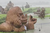 杜蘇芮災情/風雨太大花蓮大猩猩「被迫學游泳」　民眾也憂水太多壞了稻田