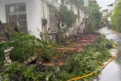 杜蘇芮災情/台南風勢後腳有力　南區幼園圍牆推倒、仁德老榕樹拔起