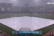 快訊/好衰！中職明星賽因雨延賽　球迷氣炸：浪費來回高鐵票
