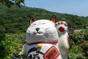 本周生肖運勢出爐！屬馬事業、財運、愛情通吃　第六感超準命中良緣