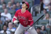 影/又沒球打！大谷「13次故意保送」冠大聯盟　單場4度上壘助天使連勝