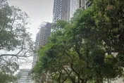 退租日爆驚悚命案！台中豪宅男子18樓墜樓亡　「身首分離」住戶嚇壞