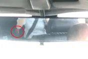 影/搭計程車卻坐到「移動蟑螂屋」　多隻小強鑽動嚇得頭皮發麻