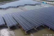 推光電能源轉型亂象多！「Lin bay」曝只有一原因：好賺