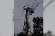 卡努災情/卡努颱風重創高雄六龜區！2563戶一度全面斷電　台電英雄冒雨搶修