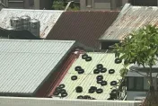 新北住宅屋頂驚見「黑色甜甜圈」網狂猜用途　米其林解答了